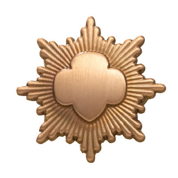 Bronze Award