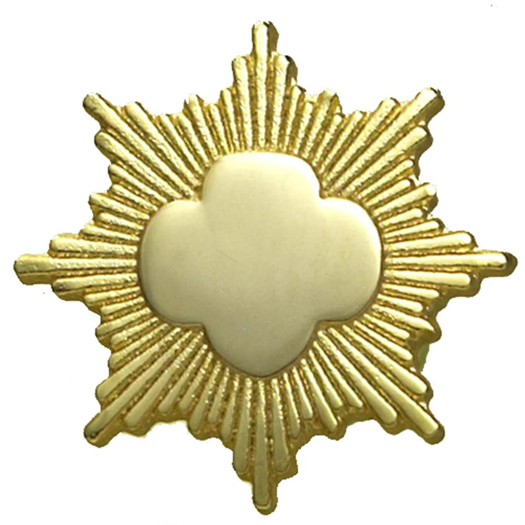 Gold Award